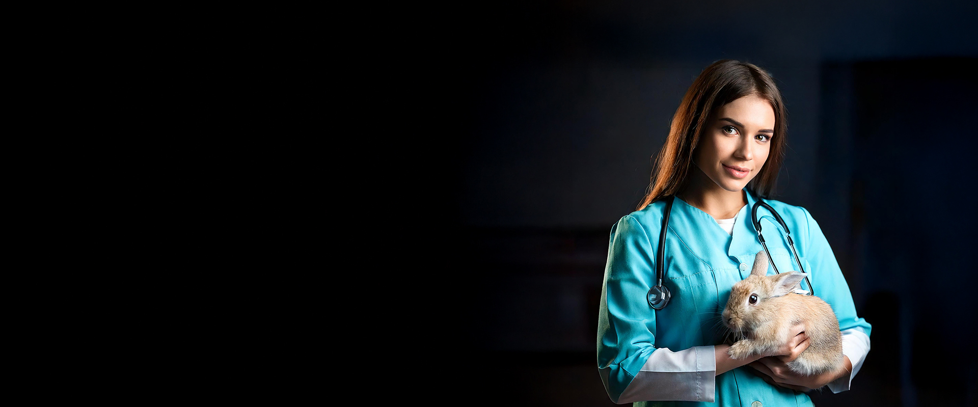 Medicina Veterinária – Bacharelado